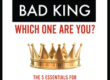 Good King Bad King / Which One Are You? Cover